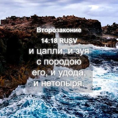 Picture 04 - Второзаконие 14:18 RUSV - и цапли, и зуя с породою - Bible Verse Picture