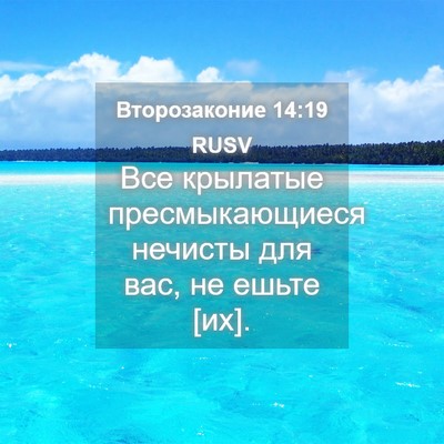 Picture 04 - Второзаконие 14:19 RUSV - Все крылатые - Bible Verse Picture