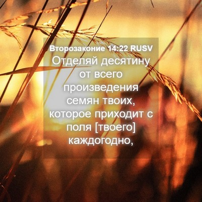 Picture 04 - Второзаконие 14:22 RUSV - Отделяй десятину от всего - Bible Verse Picture