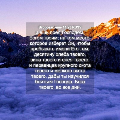 Picture 04 - Второзаконие 14:23 RUSV - и ешь пред Господом, Богом - Bible Verse Picture