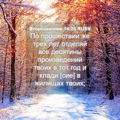 Picture 04 - Второзаконие 14:28 RUSV - По прошествии же трех лет - Bible Verse Picture
