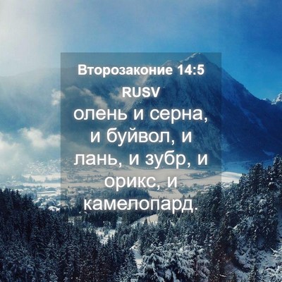 Picture 04 - Второзаконие 14:5 RUSV - олень и серна, и буйвол, и - Bible Verse Picture