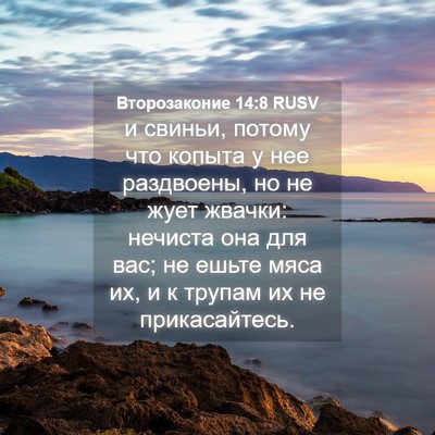 Picture 04 - Второзаконие 14:8 RUSV - и свиньи, потому что копыта - Bible Verse Picture