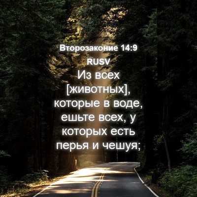 Picture 04 - Второзаконие 14:9 RUSV - Из всех [животных], которые - Bible Verse Picture