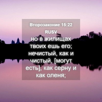 Picture 04 - Второзаконие 15:22 RUSV - но в жилищах твоих ешь его; - Bible Verse Picture