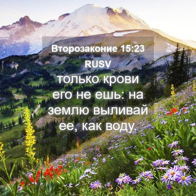 Picture 04 - Второзаконие 15:23 RUSV - только крови его не ешь: на - Bible Verse Picture
