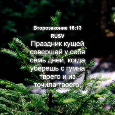 Picture 04 - Второзаконие 16:13 RUSV - Праздник кущей совершай у - Bible Verse Picture