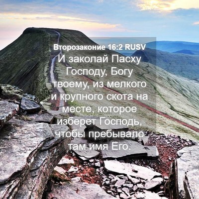 Picture 04 - Второзаконие 16:2 RUSV - И заколай Пасху Господу, - Bible Verse Picture