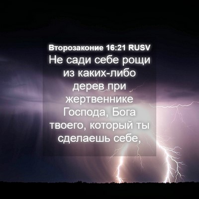 Picture 04 - Второзаконие 16:21 RUSV - Не сади себе рощи из - Bible Verse Picture