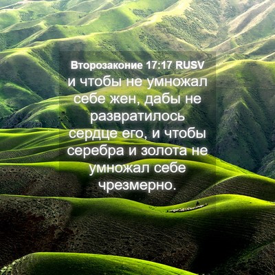 Picture 04 - Второзаконие 17:17 RUSV - и чтобы не умножал себе - Bible Verse Picture