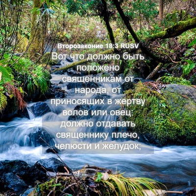 Picture 04 - Второзаконие 18:3 RUSV - Вот что должно быть - Bible Verse Picture
