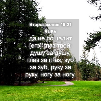 Picture 04 - Второзаконие 19:21 RUSV - да не пощадит [его] глаз - Bible Verse Picture