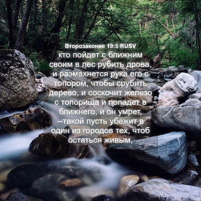 Picture 04 - Второзаконие 19:5 RUSV - кто пойдет с ближним своим - Bible Verse Picture