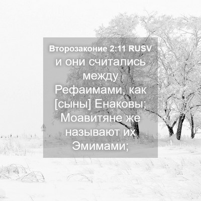 Picture 04 - Второзаконие 2:11 RUSV - и они считались между - Bible Verse Picture