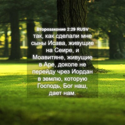 Picture 04 - Второзаконие 2:29 RUSV - так, как сделали мне сыны - Bible Verse Picture