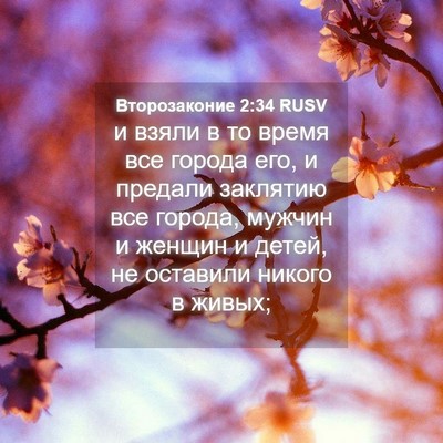 Picture 04 - Второзаконие 2:34 RUSV - и взяли в то время все - Bible Verse Picture