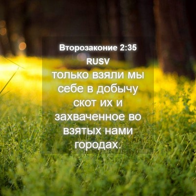 Picture 04 - Второзаконие 2:35 RUSV - только взяли мы себе в - Bible Verse Picture