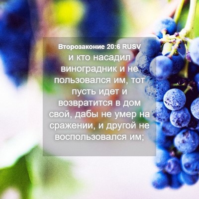 Picture 04 - Второзаконие 20:6 RUSV - и кто насадил виноградник - Bible Verse Picture