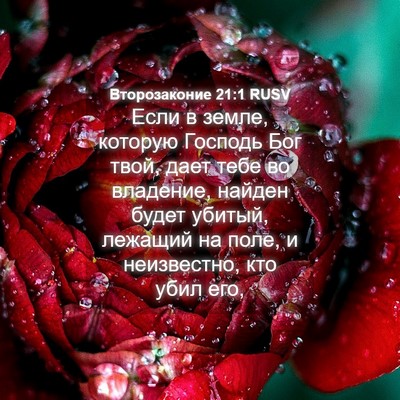 Picture 04 - Второзаконие 21:1 RUSV - Если в земле, которую - Bible Verse Picture