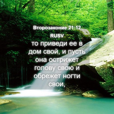 Picture 04 - Второзаконие 21:12 RUSV - то приведи ее в дом свой, и - Bible Verse Picture