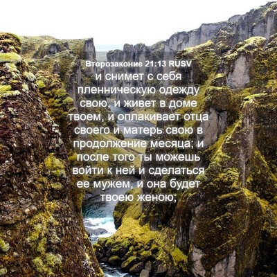 Picture 04 - Второзаконие 21:13 RUSV - и снимет с себя - Bible Verse Picture