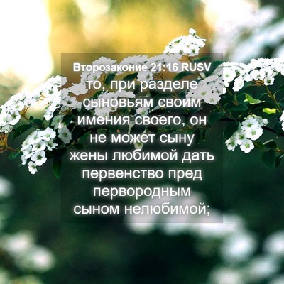 Picture 04 - Второзаконие 21:16 RUSV - то, при разделе сыновьям - Bible Verse Picture
