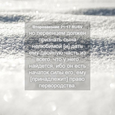 Picture 04 - Второзаконие 21:17 RUSV - но первенцем должен - Bible Verse Picture