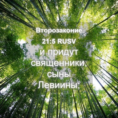 Picture 04 - Второзаконие 21:5 RUSV - и придут священники, сыны - Bible Verse Picture