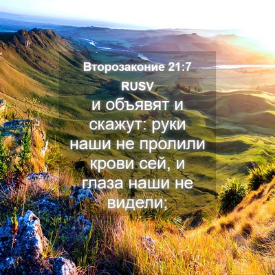 Picture 04 - Второзаконие 21:7 RUSV - и объявят и скажут: руки - Bible Verse Picture