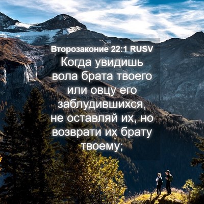Picture 04 - Второзаконие 22:1 RUSV - Когда увидишь вола брата - Bible Verse Picture