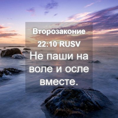 Picture 04 - Второзаконие 22:10 RUSV - Не паши на воле и осле - Bible Verse Picture