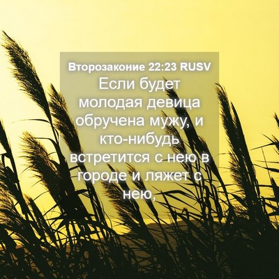 Picture 04 - Второзаконие 22:23 RUSV - Если будет молодая девица - Bible Verse Picture