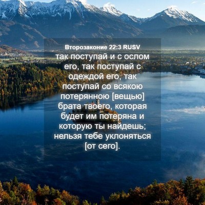 Picture 04 - Второзаконие 22:3 RUSV - так поступай и с ослом его, - Bible Verse Picture