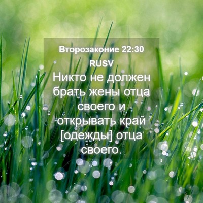 Picture 04 - Второзаконие 22:30 RUSV - Никто не должен брать жены - Bible Verse Picture