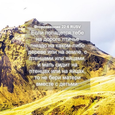 Picture 04 - Второзаконие 22:6 RUSV - Если попадется тебе на - Bible Verse Picture