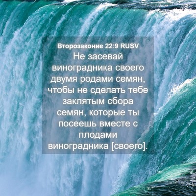 Picture 04 - Второзаконие 22:9 RUSV - Не засевай виноградника - Bible Verse Picture