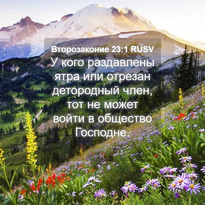 Picture 04 - Второзаконие 23:1 RUSV - У кого раздавлены ятра или - Bible Verse Picture
