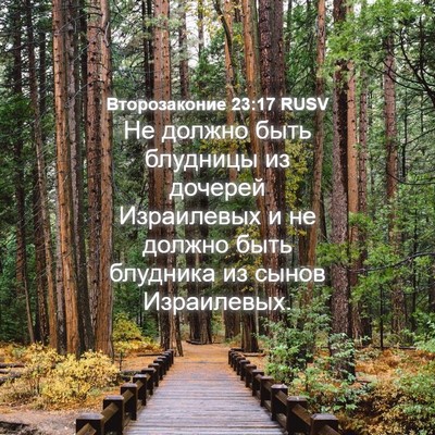 Picture 04 - Второзаконие 23:17 RUSV - Не должно быть блудницы из - Bible Verse Picture