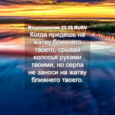 Picture 04 - Второзаконие 23:25 RUSV - Когда придешь на жатву - Bible Verse Picture