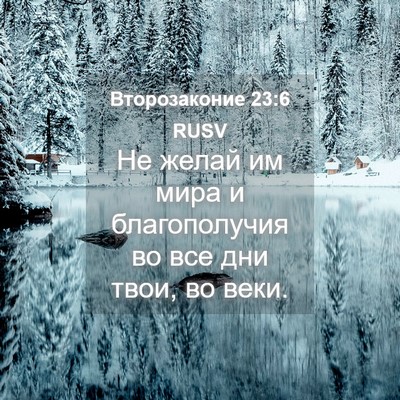 Picture 04 - Второзаконие 23:6 RUSV - Не желай им мира и - Bible Verse Picture