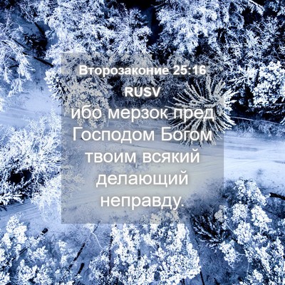 Picture 04 - Второзаконие 25:16 RUSV - ибо мерзок пред Господом - Bible Verse Picture