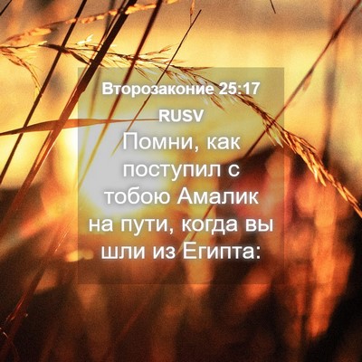 Picture 04 - Второзаконие 25:17 RUSV - Помни, как поступил с тобою - Bible Verse Picture