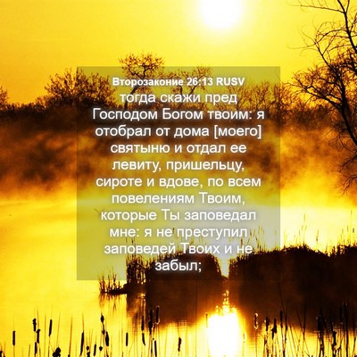 Picture 04 - Второзаконие 26:13 RUSV - тогда скажи пред Господом - Bible Verse Picture
