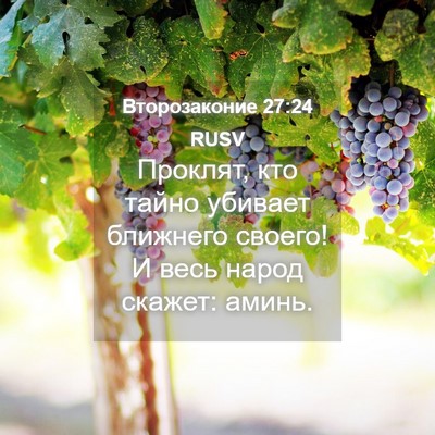 Picture 04 - Второзаконие 27:24 RUSV - Проклят, кто тайно убивает - Bible Verse Picture