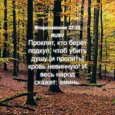 Picture 04 - Второзаконие 27:25 RUSV - Проклят, кто берет подкуп, - Bible Verse Picture