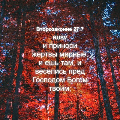 Picture 04 - Второзаконие 27:7 RUSV - и приноси жертвы мирные, и - Bible Verse Picture