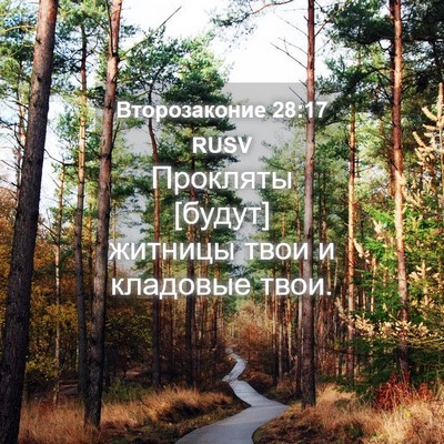 Picture 04 - Второзаконие 28:17 RUSV - Прокляты [будут] житницы - Bible Verse Picture