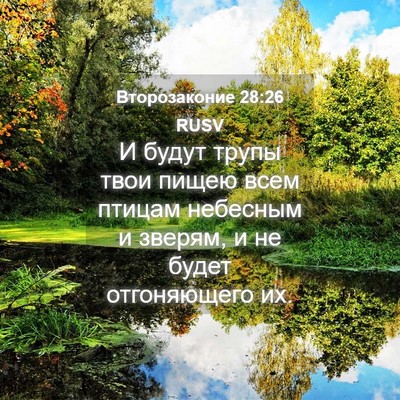 Picture 04 - Второзаконие 28:26 RUSV - И будут трупы твои пищею - Bible Verse Picture