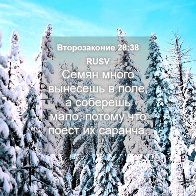 Picture 04 - Второзаконие 28:38 RUSV - Семян много вынесешь в - Bible Verse Picture
