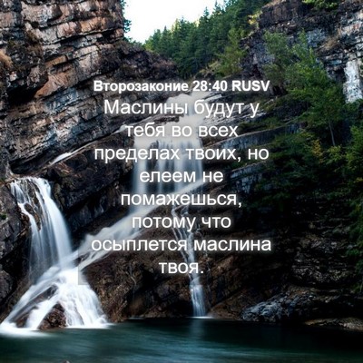 Picture 04 - Второзаконие 28:40 RUSV - Маслины будут у тебя во - Bible Verse Picture